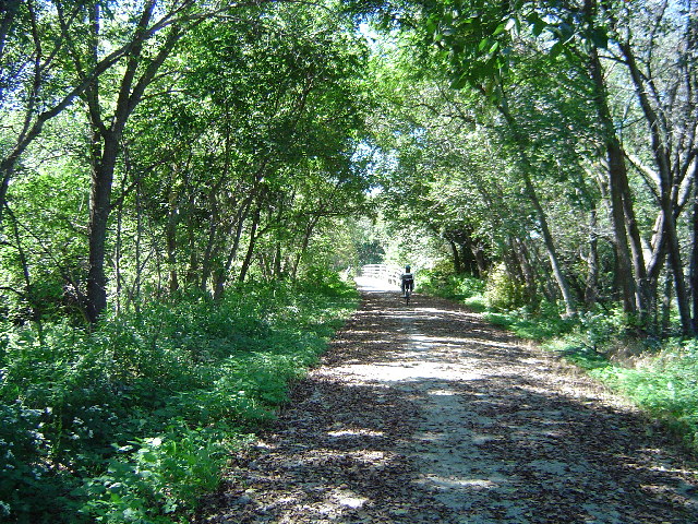 The MoPac Trail