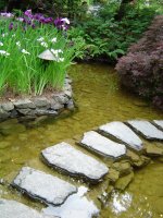 Stepping Stones