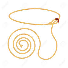 lasso