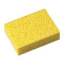 sponge